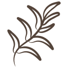 Hand-illustrated brown leaf icon