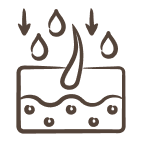 Hand-illustrated brown icon of moisture droplets penetrating skin barrier